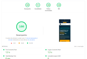 PageSpeed 100 Google